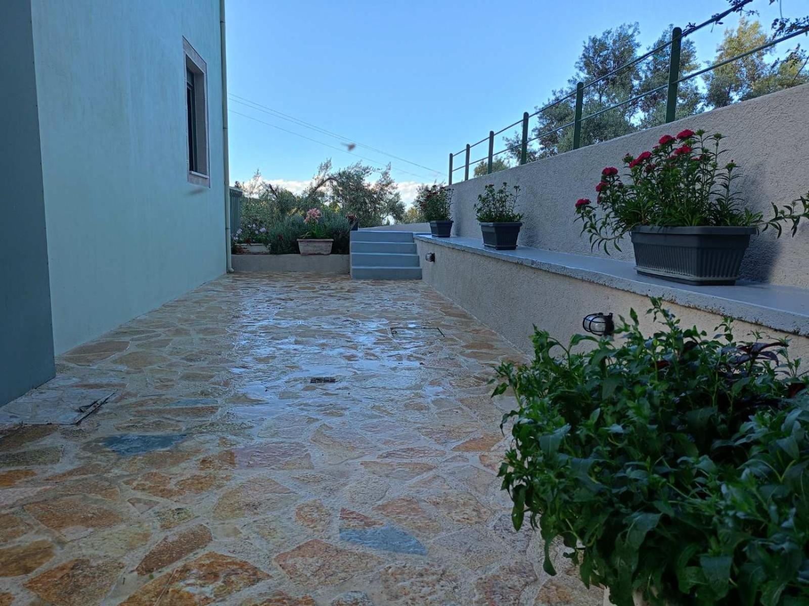 Armonia Villa Lefkada Kariótai Екстериор снимка
